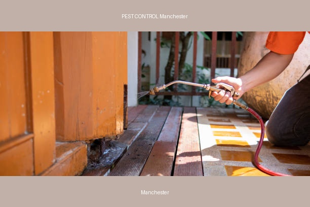 PEST CONTROL Manchester